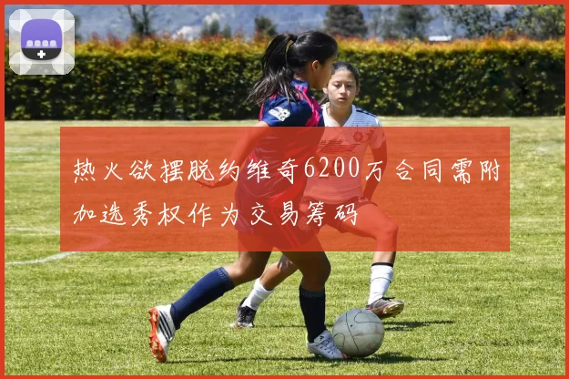 热火欲摆脱约维奇6200万合同需附加选秀权作为交易筹码