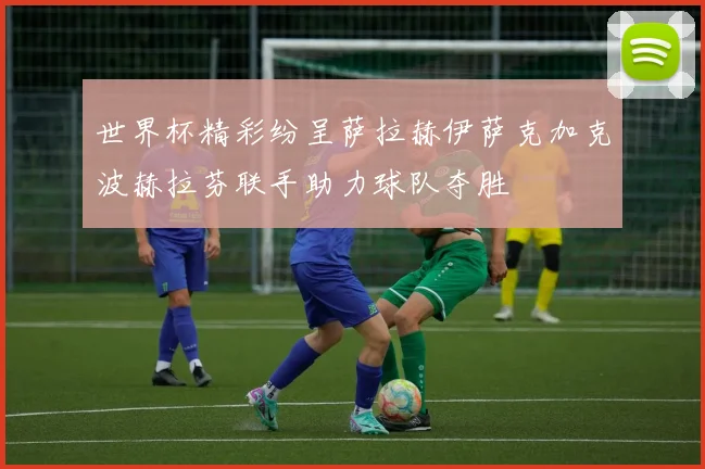 世界杯精彩纷呈萨拉赫伊萨克加克波赫拉芬联手助力球队夺胜